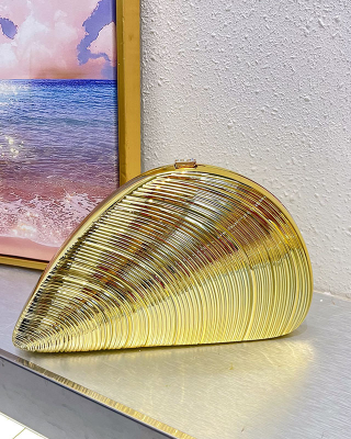 Acrylic Clutch Hobo Bag, Shell Bag Gold